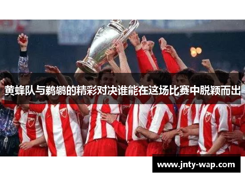 黄蜂队与鹈鹕的精彩对决谁能在这场比赛中脱颖而出